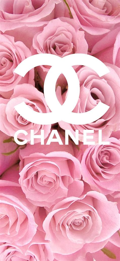 chanel achtergrond roze|110+ Chanel achtergronden HD .